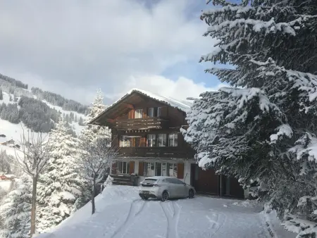 Shalom, Appartement 4 personnes à Adelboden - Photo 4