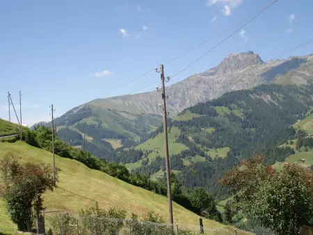 Bauernhaus Uf dr Flue, Appartement 11 personnes à Frutigen - Photo 4