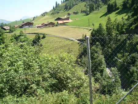 Bauernhaus Uf dr Flue, Appartement 11 personnes à Frutigen - Photo 8