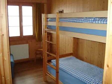 Bauernhaus Uf dr Flue, Appartement 11 personnes à Frutigen - Photo 17