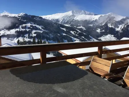 Chalet Weitblick, Appartement 3 personnes à Lenk - Photo 4