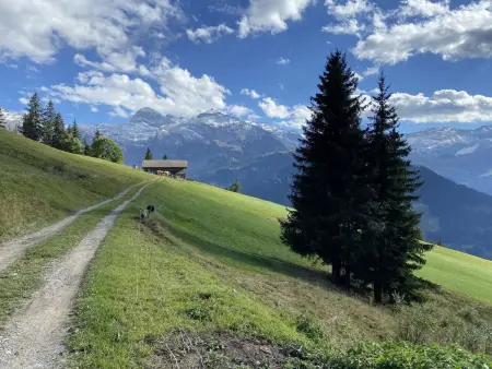 Chalet Weitblick, Appartement 3 personnes à Lenk - Photo 7