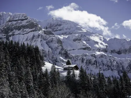 Chalet Weitblick, Appartement 3 personnes à Lenk - Photo 8