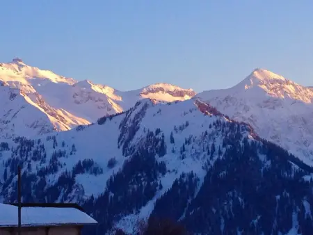 Chalet Weitblick, Appartement 3 personnes à Lenk - Photo 12