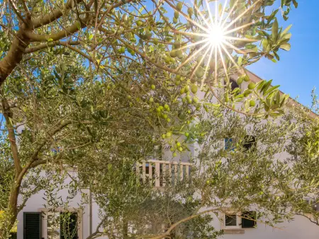 Pavica 6, Appartement 4 personnes à Rab Rab - Photo 12