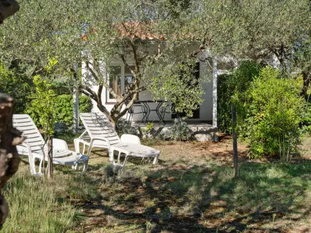 Ana, Maison 4 personnes à Vir - Photo 24