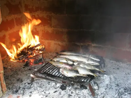 Mihovilka, Maison 12 personnes à Sv. Filip i Jakov - Photo 36