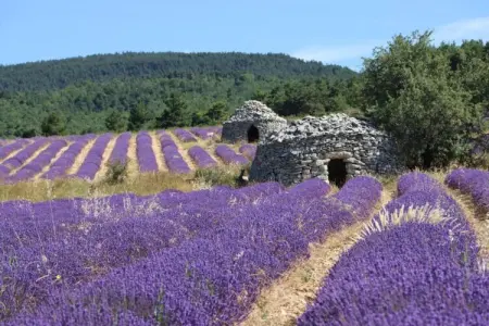 Villa Coda, Maison en Provence avec Piscine - Photo 36