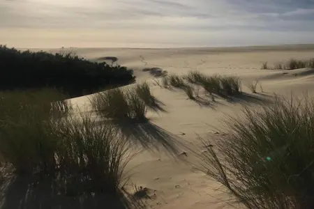 Les Mouettes, Escapade familiale avec vue sur la mer - Photo 15