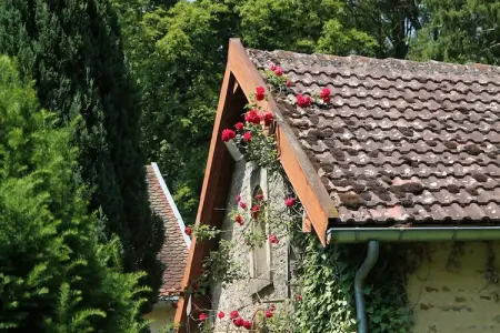 Château de la Mothe, Château avec parc privé et courts de tennis - Photo 1