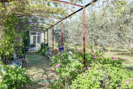 Le Figuier, Gîte à Oppède avec piscine et jardin - Photo 20