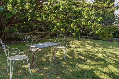 Le Figuier, Gîte à Oppède avec piscine et jardin - Photo 21