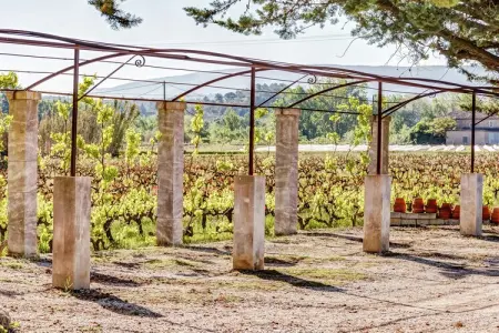 Le Mûrier, Gîte à Oppède au milieu des vignes - Photo 11