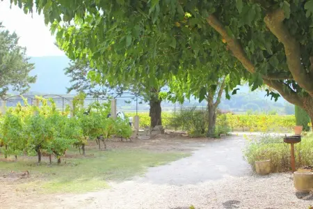 Le Mûrier, Gîte à Oppède au milieu des vignes - Photo 27