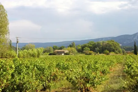 Le Mûrier, Gîte à Oppède au milieu des vignes - Photo 28