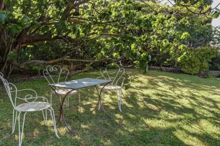 Le Tilleul, Gîte à Oppède avec Piscine Partagée - Photo 5