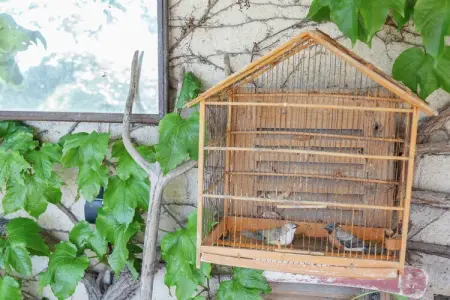 Le Tilleul, Gîte à Oppède avec Piscine Partagée - Photo 21