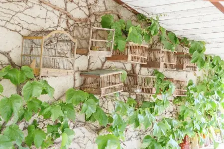 Le Tilleul, Gîte à Oppède avec Piscine Partagée - Photo 26