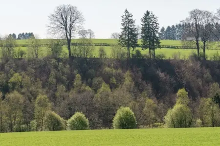 Ol Cor, Ferme médiévale avec jardin privé - Photo 32