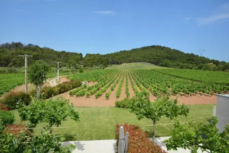 Gîte Grenache, Ferme à Languedoc avec piscine et vignobles - Photo 20