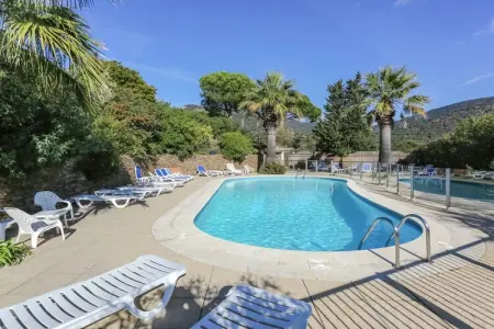 Villa Freesia villa 4 pieces, Maison à Bormes-les-Mimosas avec Piscine - Photo 1