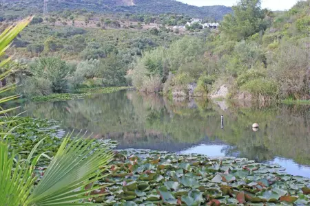 Villa Freesia villa 4 pieces, Maison à Bormes-les-Mimosas avec Piscine - Photo 28