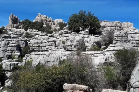 El Trigal, Séjour en famille avec piscine privée - Photo 35