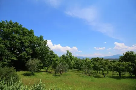 Villa Marcy, Villa avec piscine א Marciano - Photo 23