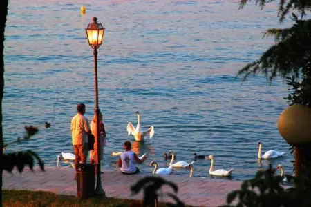 Garda Resort Village - IT-37019-001 - B4 1P Std, Retraite relaxante au bord du lac de Garde - Photo 31