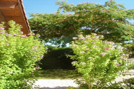 Maison Austine, Maison de vacances avec piscine - Photo 20