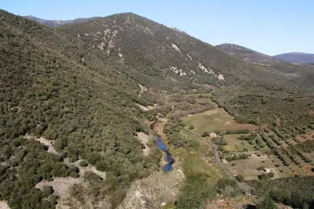 Mirador de la Fuente, Gîte à Navas de Estena près de Cabañeros - Photo 39