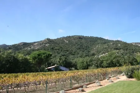 Villa d'Artagnan 8 personen, Villa avec piscine et vignobles au Plan-de-la-Tour - Photo 15