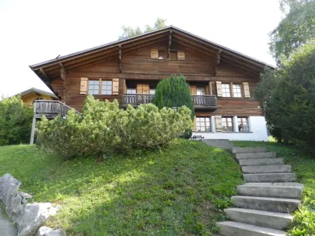 Hivernants Le Premier, Appartement 4 personnes à Schönried - Photo 1