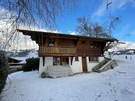 Hivernants Le Premier, Appartement 4 personnes à Schönried - Photo 7