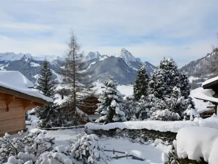 Hivernants Le Premier, Appartement 4 personnes à Schönried - Photo 8