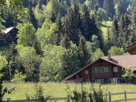 Hivernants Le Premier, Appartement 4 personnes à Schönried - Photo 27