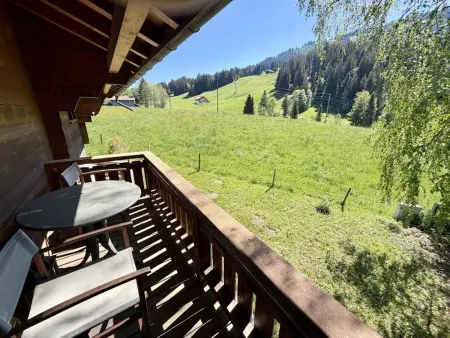 Hivernants Le Premier, Appartement 4 personnes à Schönried - Photo 28