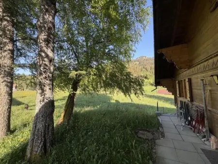 Hivernants Le Premier, Appartement 4 personnes à Schönried - Photo 30