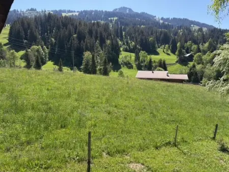 Hivernants Le Premier, Appartement 4 personnes à Schönried - Photo 33