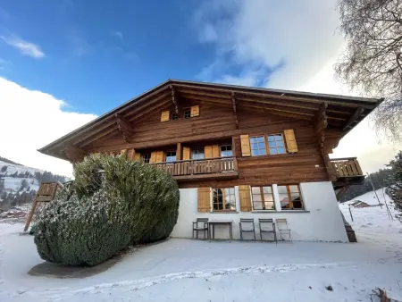 Hivernants Le Rez, Appartement 2 personnes à Schönried - Photo 1