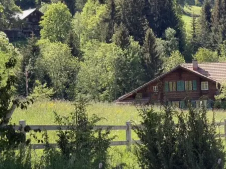 Hivernants Le Rez, Appartement 2 personnes à Schönried - Photo 22
