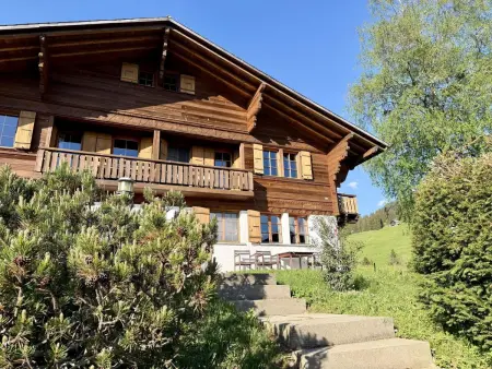 Hivernants Le Rez, Appartement 2 personnes à Schönried - Photo 33