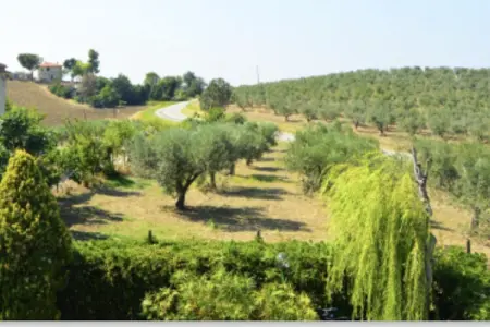 Villa Maria Teresa, Villa en Italie avec piscine et terrasse - Photo 27