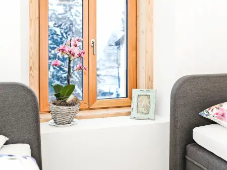 von Capeller, Maison 10 personnes à Lenzerheide - Photo 12