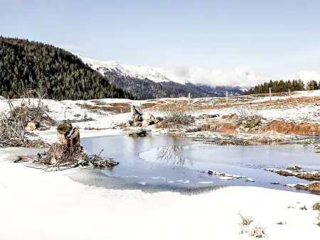 von Capeller, Maison 10 personnes à Lenzerheide - Photo 42