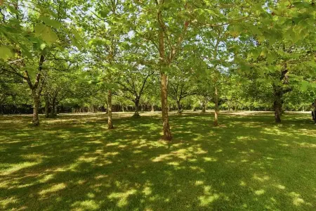 Belpech, Manoir familial avec piscine - Photo 34