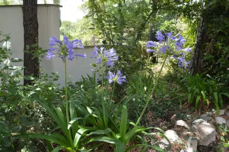 Jonila, Maison de vacances à Fayence avec piscine privée - Photo 38