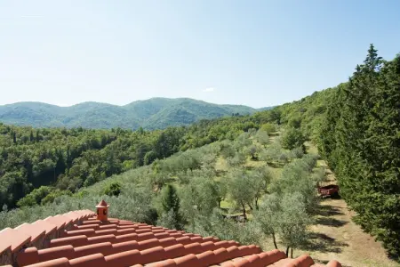 Sangiovese, Séjour pittoresque près de Florence - Photo 25