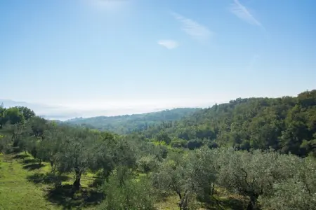 Camino Ugo, Charmant séjour toscan avec piscine - Photo 25