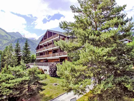Centaure A RS 3, Appartement 4 personnes à Ovronnaz - Photo 12